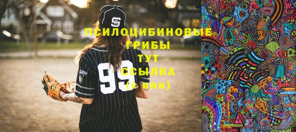 хмурый Нягань
