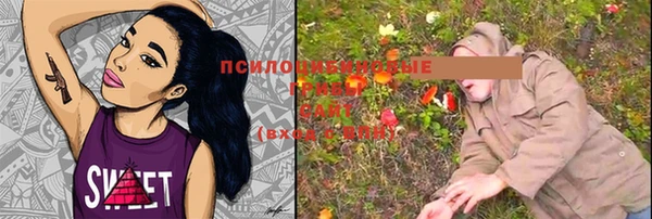 хмурый Нягань