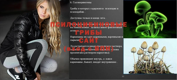 2c-b Новодвинск
