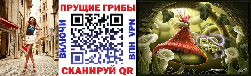блэк спрут рабочий сайт  купить  цена  Сасово  Псилоцибиновые грибы мухоморы 