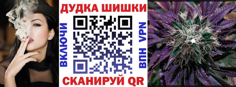 Каннабис сатива  Сасово 
